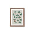 Picture of Trees Chart _GroupedProduct_Rectangle_Portrait_Mini_ _GroupedProduct_Rectangle_Portrait_Framed_Matted_