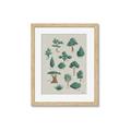 Picture of Trees Chart _GroupedProduct_Rectangle_Portrait_Mini_ _GroupedProduct_Rectangle_Portrait_Framed_Matted_
