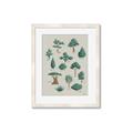 Picture of Trees Chart _GroupedProduct_Rectangle_Portrait_Mini_ _GroupedProduct_Rectangle_Portrait_Framed_Matted_