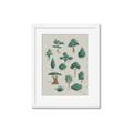 Picture of Trees Chart _GroupedProduct_Rectangle_Portrait_Mini_ _GroupedProduct_Rectangle_Portrait_Framed_Matted_