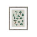 Picture of Trees Chart _GroupedProduct_Rectangle_Portrait_Mini_ _GroupedProduct_Rectangle_Portrait_Framed_Matted_