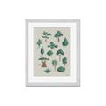 Picture of Trees Chart _GroupedProduct_Rectangle_Portrait_Mini_ _GroupedProduct_Rectangle_Portrait_Framed_Matted_