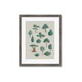 Picture of Trees Chart _GroupedProduct_Rectangle_Portrait_Mini_ _GroupedProduct_Rectangle_Portrait_Framed_Matted_