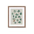 Picture of Trees Chart _GroupedProduct_Rectangle_Portrait_Mini_ _GroupedProduct_Rectangle_Portrait_Framed_Matted_