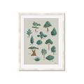 Picture of Trees Chart _GroupedProduct_Rectangle_Portrait_Mini_ _GroupedProduct_Rectangle_Portrait_Framed_Matted_