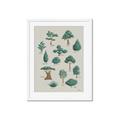 Picture of Trees Chart _GroupedProduct_Rectangle_Portrait_Mini_ _GroupedProduct_Rectangle_Portrait_Framed_Matted_