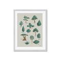 Picture of Trees Chart _GroupedProduct_Rectangle_Portrait_Mini_ _GroupedProduct_Rectangle_Portrait_Framed_Matted_