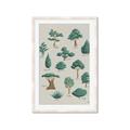 Picture of Trees Chart _GroupedProduct_Rectangle_Portrait_Mini_ _GroupedProduct_Rectangle_Portrait_Framed_Matted_