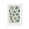 Picture of Trees Chart _GroupedProduct_Rectangle_Portrait_Mini_ _GroupedProduct_Rectangle_Portrait_Framed_Matted_