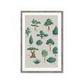 Picture of Trees Chart _GroupedProduct_Rectangle_Portrait_Mini_ _GroupedProduct_Rectangle_Portrait_Framed_Matted_