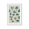 Picture of Trees Chart _GroupedProduct_Rectangle_Portrait_Mini_ _GroupedProduct_Rectangle_Portrait_Framed_Matted_