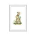 Picture of Sweety Rabbit _GroupedProduct_Rectangle_Portrait_Mini_ _GroupedProduct_Rectangle_Portrait_Framed_Matted_