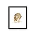 Picture of Shy Bunnies _GroupedProduct_Rectangle_Portrait_Mini_ _GroupedProduct_Rectangle_Portrait_Framed_Matted_