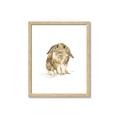 Picture of Shy Bunnies _GroupedProduct_Rectangle_Portrait_Mini_ _GroupedProduct_Rectangle_Portrait_Framed_Matted_