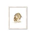 Picture of Shy Bunnies _GroupedProduct_Rectangle_Portrait_Mini_ _GroupedProduct_Rectangle_Portrait_Framed_Matted_