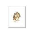 Picture of Shy Bunnies _GroupedProduct_Rectangle_Portrait_Mini_ _GroupedProduct_Rectangle_Portrait_Framed_Matted_