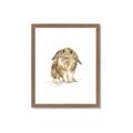 Picture of Shy Bunnies _GroupedProduct_Rectangle_Portrait_Mini_ _GroupedProduct_Rectangle_Portrait_Framed_Matted_