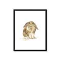 Picture of Shy Bunnies _GroupedProduct_Rectangle_Portrait_Mini_ _GroupedProduct_Rectangle_Portrait_Framed_Matted_