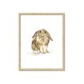 Picture of Shy Bunnies _GroupedProduct_Rectangle_Portrait_Mini_ _GroupedProduct_Rectangle_Portrait_Framed_Matted_