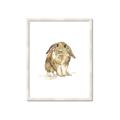 Picture of Shy Bunnies _GroupedProduct_Rectangle_Portrait_Mini_ _GroupedProduct_Rectangle_Portrait_Framed_Matted_