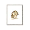 Picture of Shy Bunnies _GroupedProduct_Rectangle_Portrait_Mini_ _GroupedProduct_Rectangle_Portrait_Framed_Matted_
