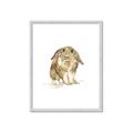 Picture of Shy Bunnies _GroupedProduct_Rectangle_Portrait_Mini_ _GroupedProduct_Rectangle_Portrait_Framed_Matted_