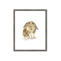 Picture of Shy Bunnies _GroupedProduct_Rectangle_Portrait_Mini_ _GroupedProduct_Rectangle_Portrait_Framed_Matted_