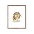 Picture of Shy Bunnies _GroupedProduct_Rectangle_Portrait_Mini_ _GroupedProduct_Rectangle_Portrait_Framed_Matted_