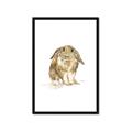 Picture of Shy Bunnies _GroupedProduct_Rectangle_Portrait_Mini_ _GroupedProduct_Rectangle_Portrait_Framed_Matted_