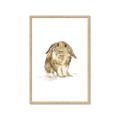 Picture of Shy Bunnies _GroupedProduct_Rectangle_Portrait_Mini_ _GroupedProduct_Rectangle_Portrait_Framed_Matted_