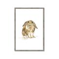 Picture of Shy Bunnies _GroupedProduct_Rectangle_Portrait_Mini_ _GroupedProduct_Rectangle_Portrait_Framed_Matted_