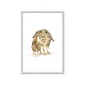 Picture of Shy Bunnies _GroupedProduct_Rectangle_Portrait_Mini_ _GroupedProduct_Rectangle_Portrait_Framed_Matted_