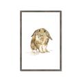 Picture of Shy Bunnies _GroupedProduct_Rectangle_Portrait_Mini_ _GroupedProduct_Rectangle_Portrait_Framed_Matted_