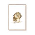 Picture of Shy Bunnies _GroupedProduct_Rectangle_Portrait_Mini_ _GroupedProduct_Rectangle_Portrait_Framed_Matted_