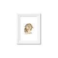 Picture of Shy Bunnies _GroupedProduct_Rectangle_Portrait_Mini_ _GroupedProduct_Rectangle_Portrait_Framed_Matted_