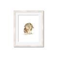 Picture of Shy Bunnies _GroupedProduct_Rectangle_Portrait_Mini_ _GroupedProduct_Rectangle_Portrait_Framed_Matted_