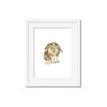 Picture of Shy Bunnies _GroupedProduct_Rectangle_Portrait_Mini_ _GroupedProduct_Rectangle_Portrait_Framed_Matted_