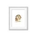 Picture of Shy Bunnies _GroupedProduct_Rectangle_Portrait_Mini_ _GroupedProduct_Rectangle_Portrait_Framed_Matted_