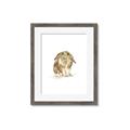 Picture of Shy Bunnies _GroupedProduct_Rectangle_Portrait_Mini_ _GroupedProduct_Rectangle_Portrait_Framed_Matted_