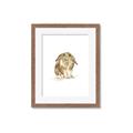 Picture of Shy Bunnies _GroupedProduct_Rectangle_Portrait_Mini_ _GroupedProduct_Rectangle_Portrait_Framed_Matted_