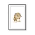 Picture of Shy Bunnies _GroupedProduct_Rectangle_Portrait_Mini_ _GroupedProduct_Rectangle_Portrait_Framed_Matted_