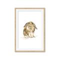 Picture of Shy Bunnies _GroupedProduct_Rectangle_Portrait_Mini_ _GroupedProduct_Rectangle_Portrait_Framed_Matted_