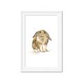 Picture of Shy Bunnies _GroupedProduct_Rectangle_Portrait_Mini_ _GroupedProduct_Rectangle_Portrait_Framed_Matted_