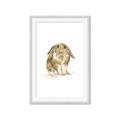 Picture of Shy Bunnies _GroupedProduct_Rectangle_Portrait_Mini_ _GroupedProduct_Rectangle_Portrait_Framed_Matted_