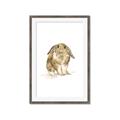 Picture of Shy Bunnies _GroupedProduct_Rectangle_Portrait_Mini_ _GroupedProduct_Rectangle_Portrait_Framed_Matted_