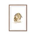 Picture of Shy Bunnies _GroupedProduct_Rectangle_Portrait_Mini_ _GroupedProduct_Rectangle_Portrait_Framed_Matted_
