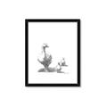 Picture of Duck and Chicks _GroupedProduct_Rectangle_Portrait_Mini_ _GroupedProduct_Rectangle_Portrait_Framed_Matted_