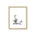 Picture of Duck and Chicks _GroupedProduct_Rectangle_Portrait_Mini_ _GroupedProduct_Rectangle_Portrait_Framed_Matted_