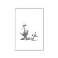 Picture of Duck and Chicks _GroupedProduct_Rectangle_Portrait_Mini_ _GroupedProduct_Rectangle_Portrait_Framed_Matted_
