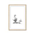 Picture of Duck and Chicks _GroupedProduct_Rectangle_Portrait_Mini_ _GroupedProduct_Rectangle_Portrait_Framed_Matted_
